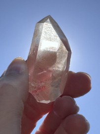 Peach Lemurian 14