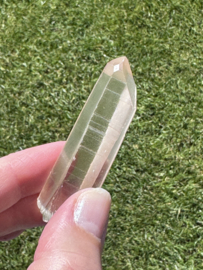 Peach Lemurian 11 - met venster