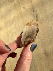 Lemurian (Red Coated) Dreamtime Healers 6