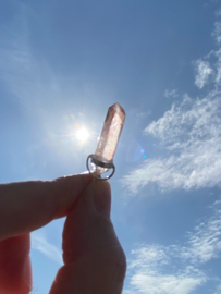 Pink Lemurian Hangertje 4