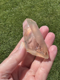 Golden Healer Lemurian 1