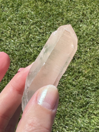 Peach Lemurian 2