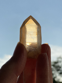 Tangerine Lemurian 18