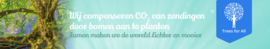 Plant een boom