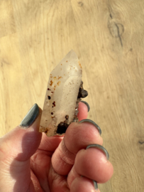 Lemurian (Red Coated) Dreamtime Healers 7