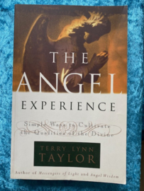 The Angel Experience - Terry Lynn Taylor