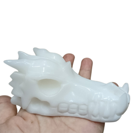 Dragon skulls