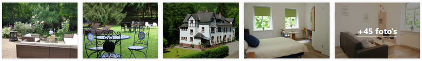 alf-banner-wald-villa-moezel-2019.png