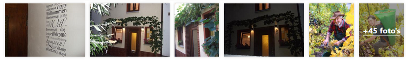 bremm-vakantiehuis-winzerhaus-moezel-2019.png