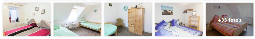 briedel-vakantiehuis-briedel-moezel-2019.png