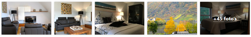 brodenbach-vakantiehuis-moselschon-moezel-2019.png