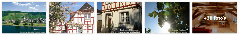 bruttig-fankel-vakantiehuis-ferienland-moezel-2019.png