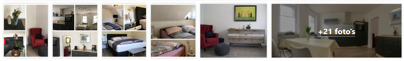 bullay-vakantiehuis-elfriedes-moezel-2019.png