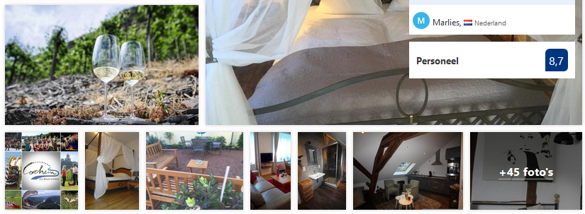 cochem-appartementen-alte-rebe-moezel-2019.png