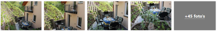 ediger-eller-appartement-trimmisch-moezel-2019.png
