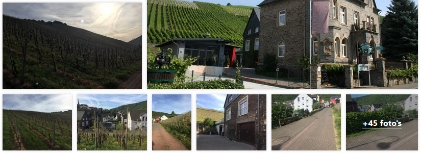 enkirch-appartementen-weingut-anker-moezel-2019.png
