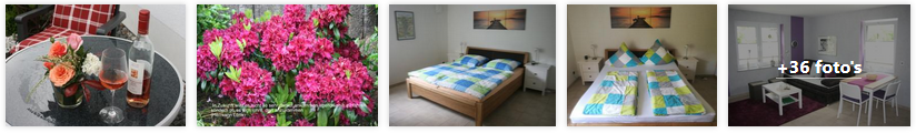 klotten-appartement-ibald-moezel-2019.png