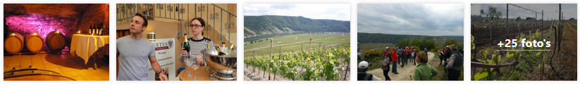 minheim-banner-weingut-mertes-moezel-2019.png