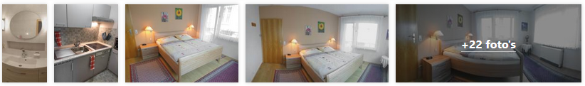 urzig-appartement-fewo-trossen-moezel-2019.png
