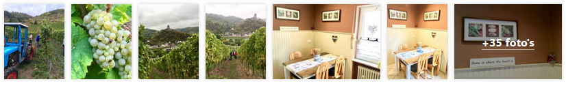 valwig-appartement-ferien-wohnung-mosel-moezel-2019.png