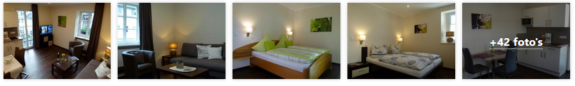 valwig-appartement-mosel-rudorfer-moezel-2019.png