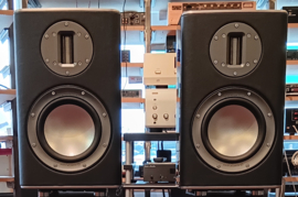 Monitor Audio Platinum PL100