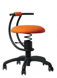 SpinaliS Smart