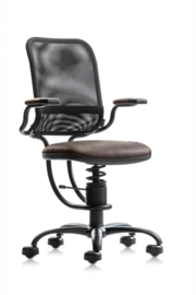 SpinaliS Ergonomic