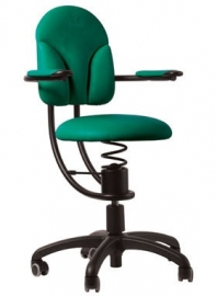 SpinaliS Basic R604 Groen