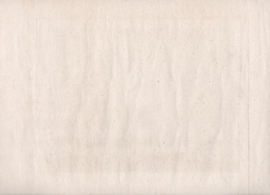 Gezicht op IJsselmonde