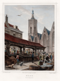 Gezicht op Den Haag