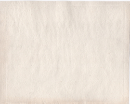 Gezicht op Delfshaven