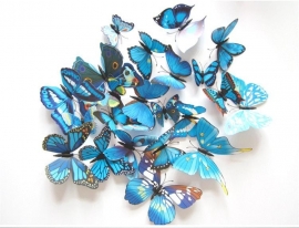 3D-vlinders