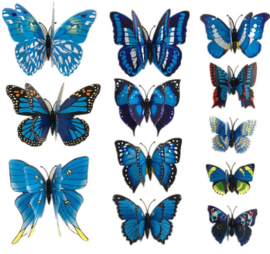 Dubbele blauwe 3D-vlinders