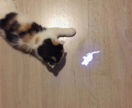 Diervriendelijke laser voor katten