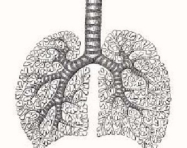 Chronische blootstelling aan pesticiden verhoogt kans op de longziekte COPD