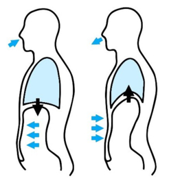 5. Classic Medic "weerstand zéér laag"    < IN Ademtraining bij Parkinson en COPD >