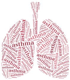 In 2018 in totaal 171 sterfgevallen door Astma
