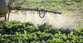 Pesticiden vergroten kans op longziekte