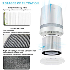 17 & 2 Binnenlucht reiniger bij COPD met IONISATIE, CARBON en HEPA filters, 28/32/36m2 Tijdelijk met *GRATIS* PLUG-In en Hygrometertje.