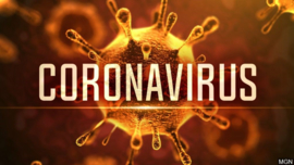 Natuurlijke manier van desinfecteren van virussen o.a. Corona virus SARS-COV-2