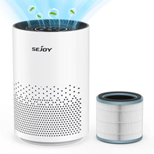 18. Binnenlucht reiniger bij COPD met IONISATIE, CARBON en HEPA filters, 28/32/36m2