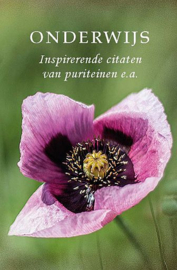 Pareltjes - Onderwijs