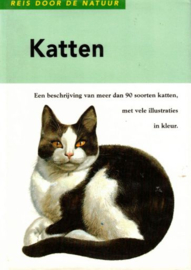 PINTERA, Albert - Katten