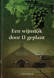 MASTENBROEK, J. - Een wijnstok door U geplant