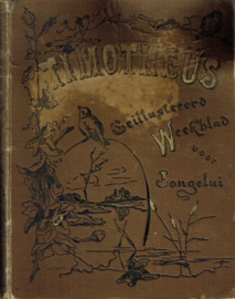 TIJDSCHRIFT - Timotheüs - jaargang 12