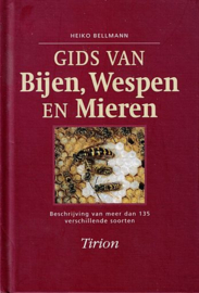 BELLMANN, Heiko - Gids van Bijen, Wespen en Mieren
