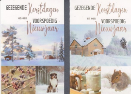 Gezegende Kerstdagen en een Voorspoedig Nieuwjaar