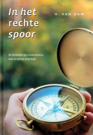 DAM, H. van - In het rechte spoor