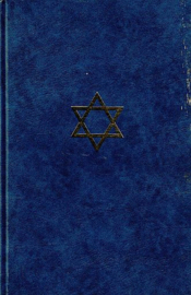 VALKENBURG, Rik - Het begon onder synagogetijd